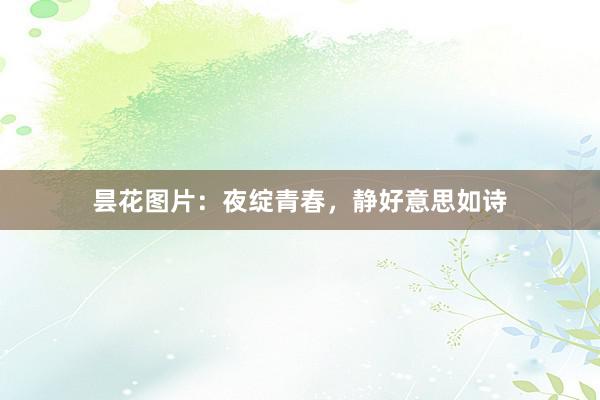 昙花图片：夜绽青春，静好意思如诗