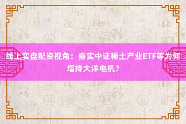线上实盘配资视角：嘉实中证稀土产业ETF等为何增持大洋电机？