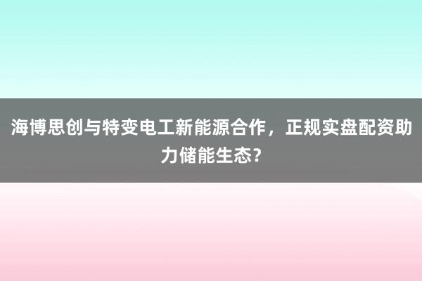 海博思创与特变电工新能源合作，正规实盘配资助力储能生态？