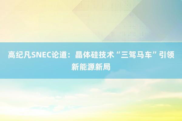 高纪凡SNEC论道：晶体硅技术“三驾马车”引领新能源新局