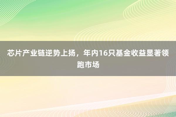 芯片产业链逆势上扬，年内16只基金收益显著领跑市场