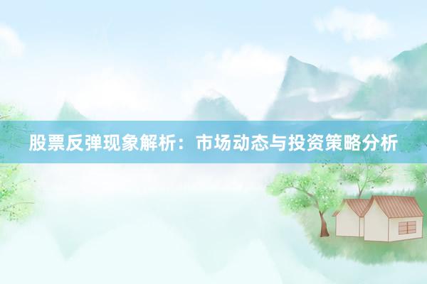 股票反弹现象解析：市场动态与投资策略分析