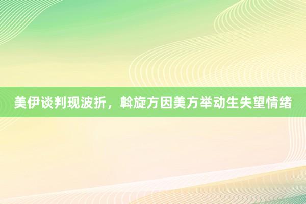 美伊谈判现波折，斡旋方因美方举动生失望情绪