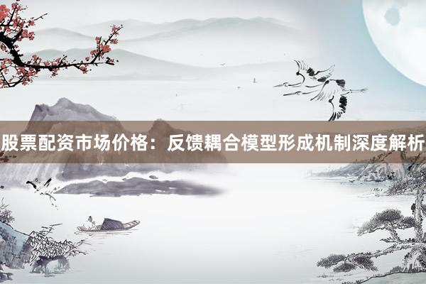 股票配资市场价格：反馈耦合模型形成机制深度解析