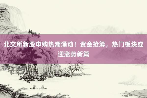 北交所新股申购热潮涌动！资金抢筹，热门板块或迎涨势新篇