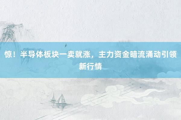 惊！半导体板块一卖就涨，主力资金暗流涌动引领新行情