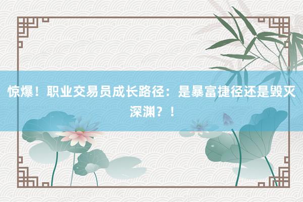 惊爆！职业交易员成长路径：是暴富捷径还是毁灭深渊？！